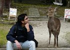 2008-04-02- NARA-P1010757